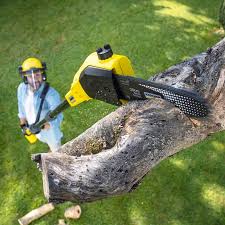 Landscape Design and Installation in Hollidaysburg, PA